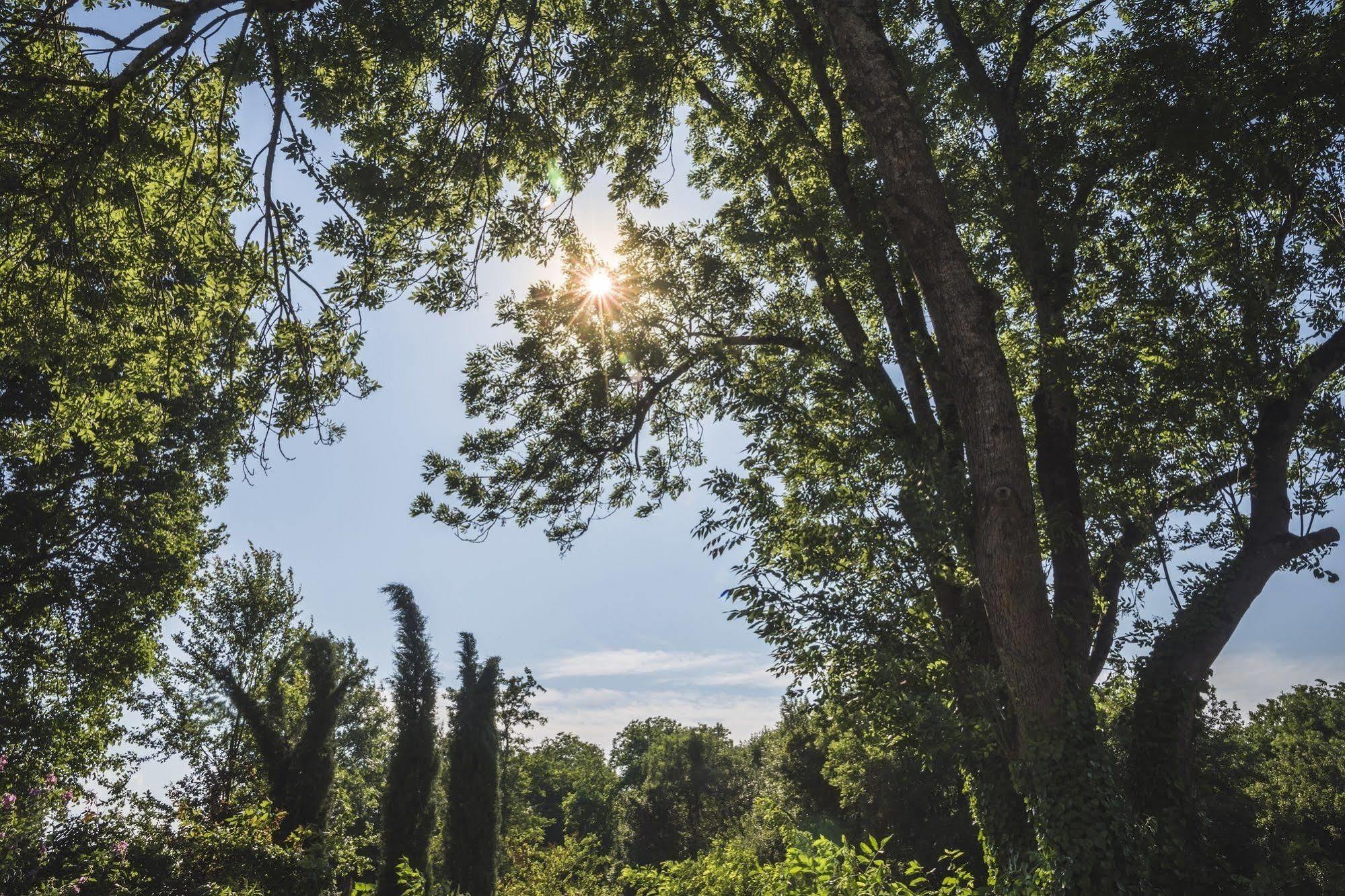 Bed and Breakfast Domaine De Terrac Rimont Экстерьер фото
